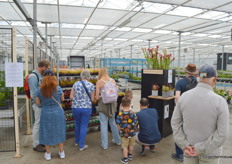 Maar het assortiment is breder. Zo teelt men verschillende groene kamerplanten, enkele seizoensproducten en zelfs een assortiment vleesetende planten.