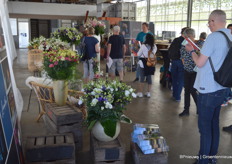 In de schuur bij CobaPlant organiseerde de gewasgroep Lisianthus een bescheiden gewaspresentatie.