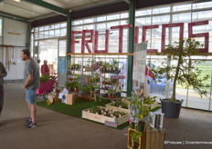 De planten worden veelal verkocht onder het merk Fruiticos