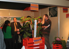 Tijdens de Tuinbouwrelatiedagen in Hardenberg heeft Plantenkwekerij Van der Lugt met trots haar nieuwste aanwinst geïntroduceerd. Deze mocht op de beurs in Rijswijk dan ook niet ontbreken.