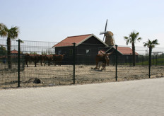 Er was ook gelegenheid om het nieuwe dierenpark 'Van Blanckendaell park' te bezichtigen.