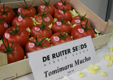 Roze tomaten van De Ruiter Seeds: Tomimaru Mucho