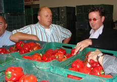 Jan van Reenen, Kees Duivenvoorde en Bert Rustenburg bekijken de Spaanse paprika's