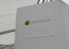 Salanova van Rijk Zwaan