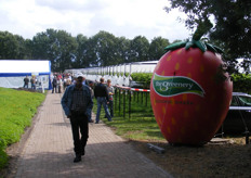 Overzicht van het demo terrein