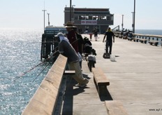 Op de pier in Newport staan Mexicanen te vissen