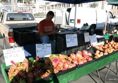 lokale farmers market