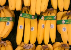 Bio bananen van Chiquita