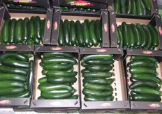 Courgettes