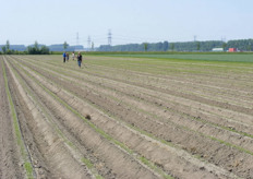 Hier is het edele handwerk nog aan de orde