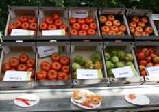 Alle tomatenrassen stonden weer uitgestald