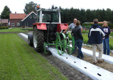 Plantgaten maken in de beddenteelt