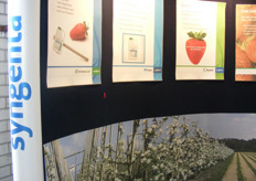 Stand van Syngenta