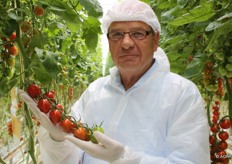 Wim toont het welbekende ras Sunstream, al 10 jaar in de markt als smaaktomaat en nog steeds een gewild product