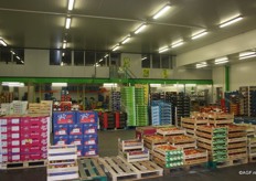 Assortiment van Continental Fruit Company. Onderdeel van Groep A. de Witte