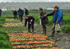 Veel belangstelling voor peen