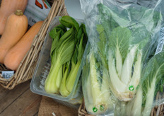 Sakata heeft een opvallend breed assortiment; Chinese groenten, pompoenen en tomaten.