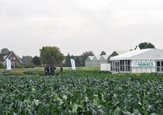 Sakata was ook dit jaar weer aanwezig op het demoveld in Zwaagdijk. Het Japanse bedrijf bestaat volgend jaar honderd jaar. Het komende seizoen zal dan ook uitgebreid in het teken van dit jubileum komen te staan.