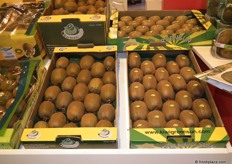 Portugese kiwi's. Grote dikke groene en bovenin de gold varieteit.