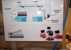 Er worden hoezen over de palletfruit gedaan die de zuurstof wegzuigt en andere gassen toevoegt waardoor de houdbaarheid met weken wordt verlengd.