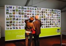 Aan de medewerkers wereldwijd is gevraagd iets met de groene opblaascijfers te doen die ze toegestuurd zijn.