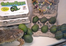 Gator eggs: kleine avocado's in eierdozen