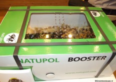 Natupol Booster of Koppert Biological Systems.