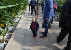 Van klein tot groot in de kassen!