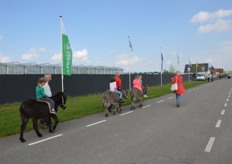 Te voet, te fiets, in de trein of per ezel langs de kassen.