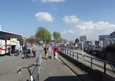 In Kwintsheul reden de bussen af en aan van het veilingterrein naar het begin van de route.