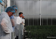 Rondleiding langs de proef Lisianthus uit de grond