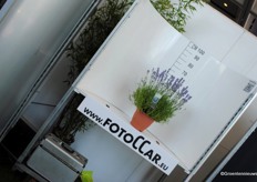 www.fotoccar.eu helps growers photograph their product easily.