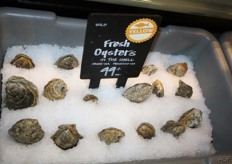 Verse oesters