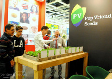 Pop Vriend Seeds - een heuse actiefoto