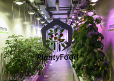 PlantyFood growth room.