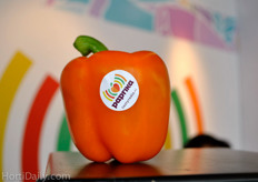 The focus is more broad than just peppers, but the orange one does look good!