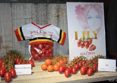 Nieuw: de Lily tomaat en de Mini San Marzano.