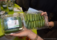 Rijk Zwaan heeft een derde product toegevoegd aan de MyCuBies (My Cucumber Babies): Quatrino. Quatrino is een eenhapskomkommer en een aanvulling op de Quatro, en Quinton.