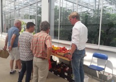 Kraampje met heerlijke tomaten van De Ruiter (Huib Koerts).