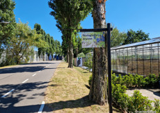 Stukje Westlandse historie langs het parcours.