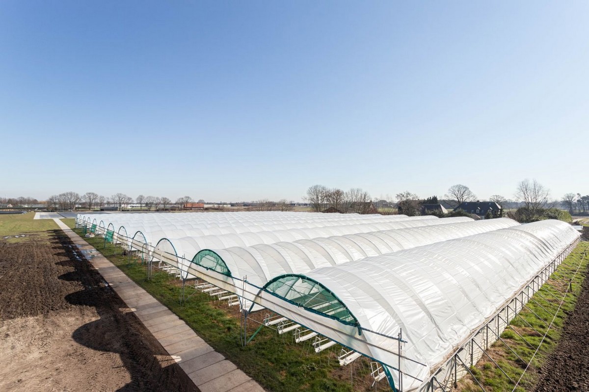 Aardbeienbedrijf Met Groeipotentie In De Verkoop